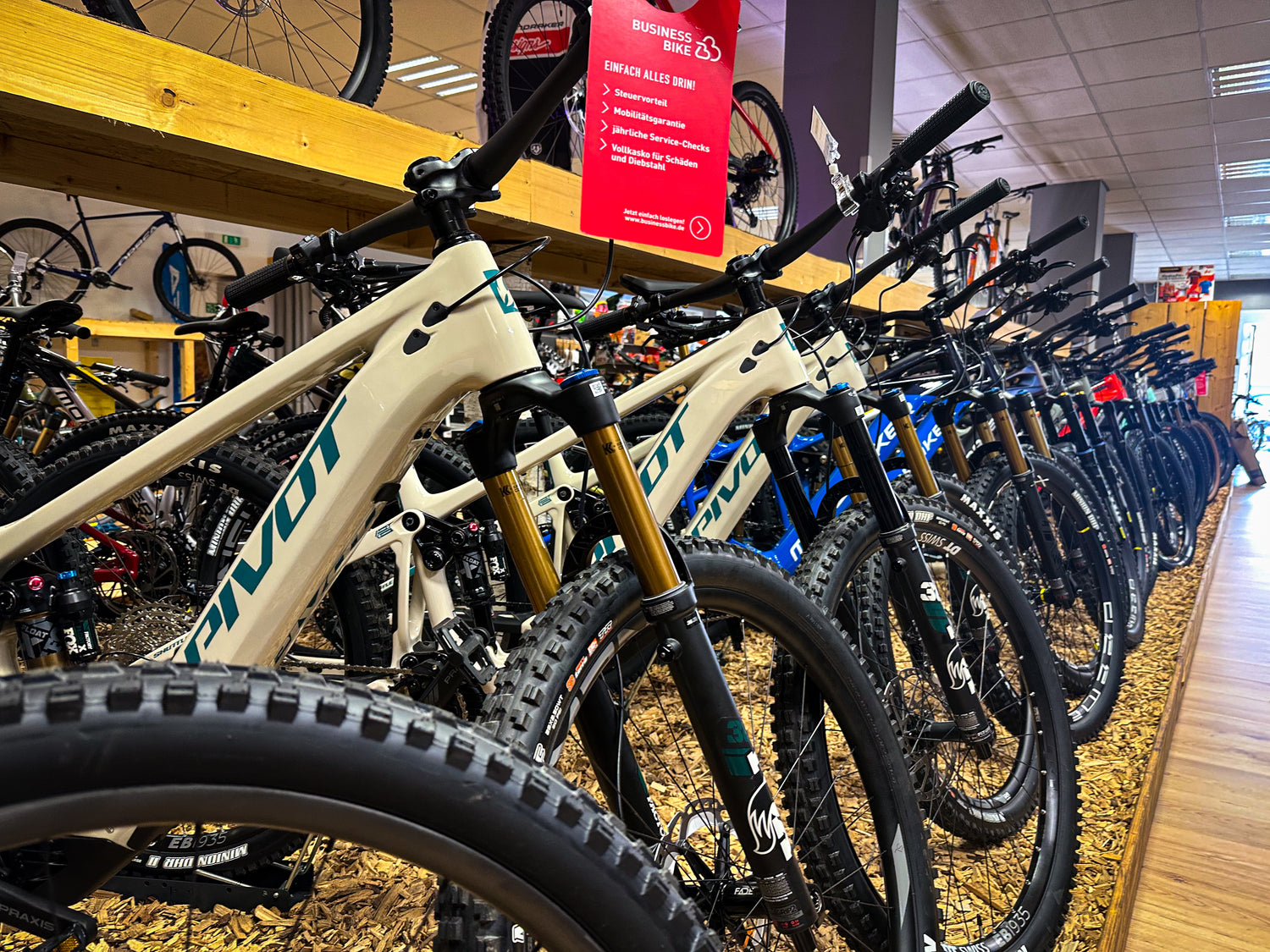 E-Bike