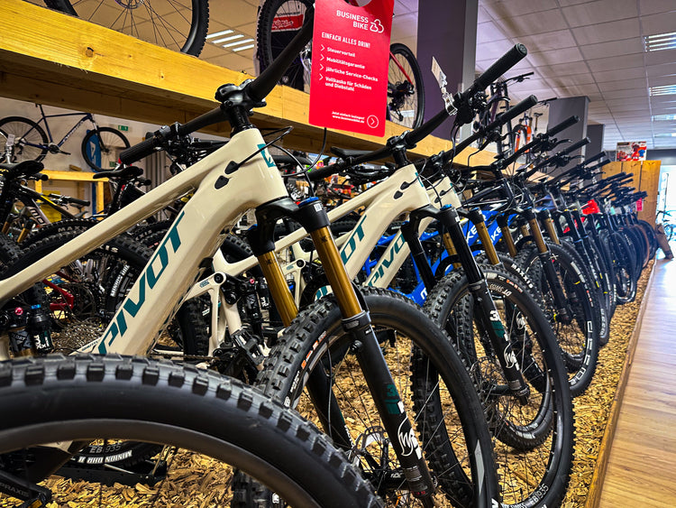 E-Bike
