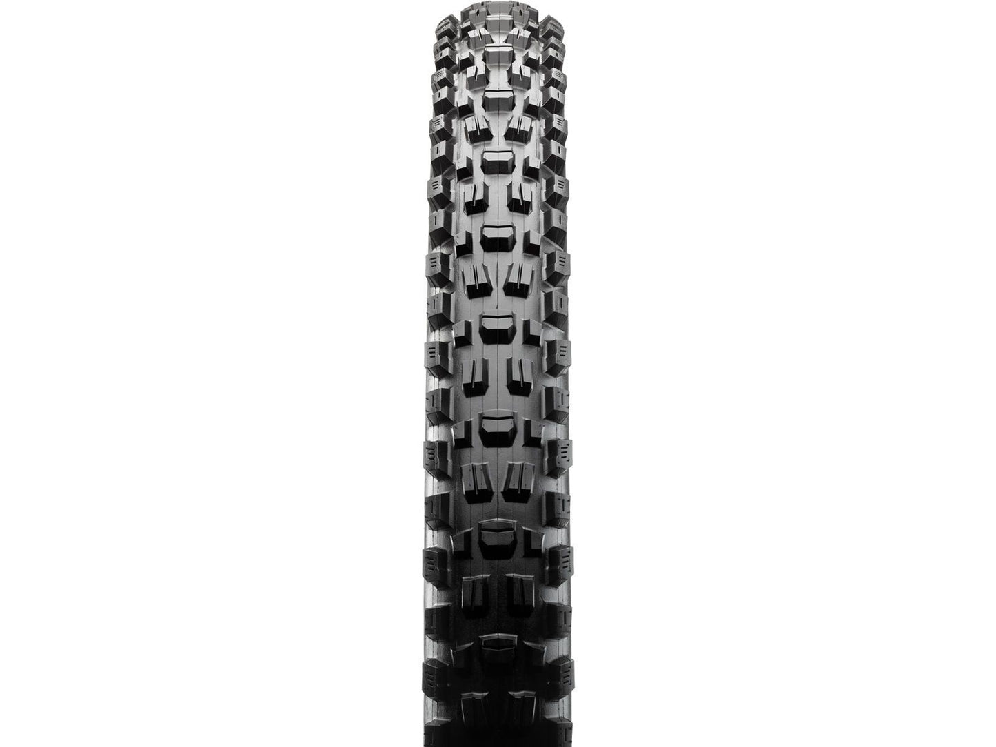 Maxxis Assegai 29x2.50WT